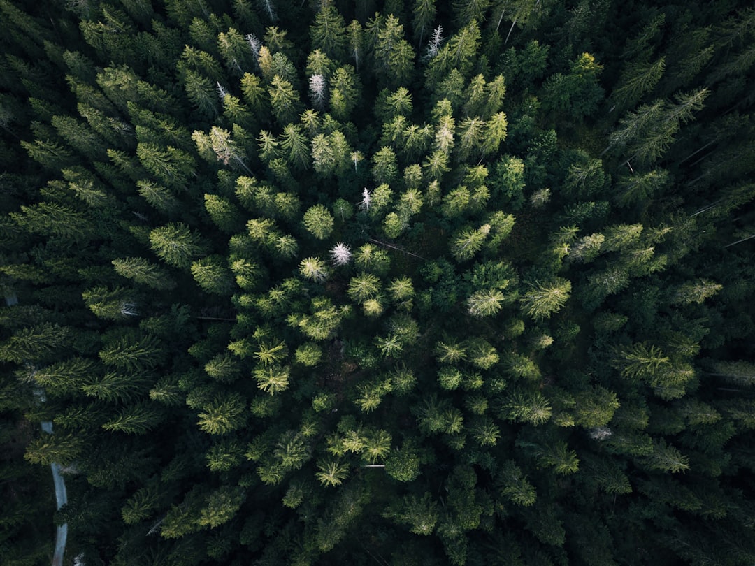 Boost Your Blogging with AI — Create Effortless Evergreen Content